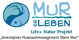 Murerleben - Ein Life plus Projekt