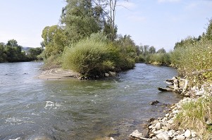 Flussaufweitung Weyern