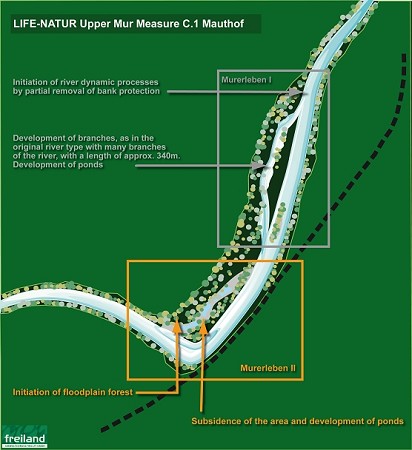 Floodplain Management Mauthof